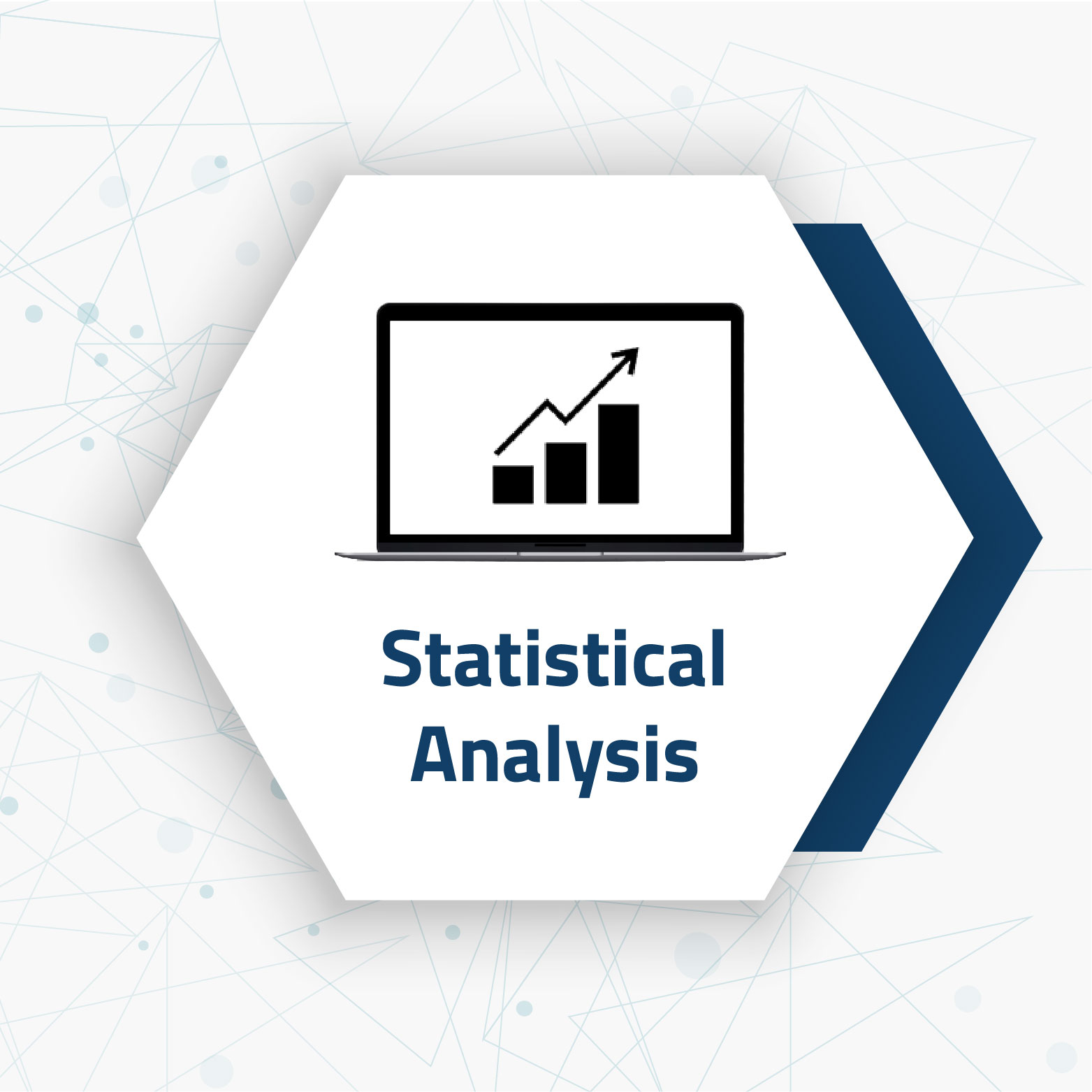  Statistical Analysis-using R